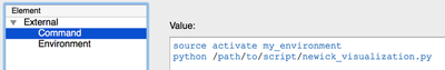 The `External` allows you to execute `bash` and `python` scripts during or after a Morpheus simulation.