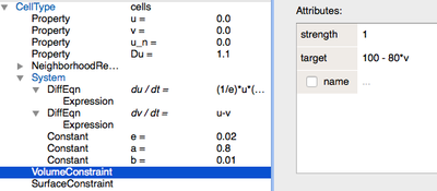 The`VolumeConstraint` depends on the concentration of `v`.