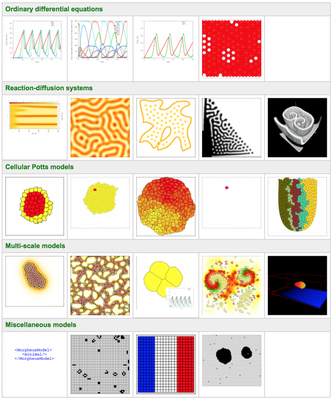 Some [example models](/#models) provided with Morpheus.