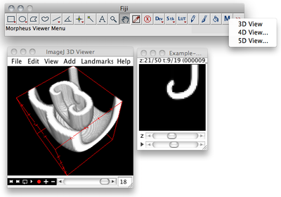 Use ```TiffPlotter``` for 3D, 4D or 5D visualization in *Fiji*.