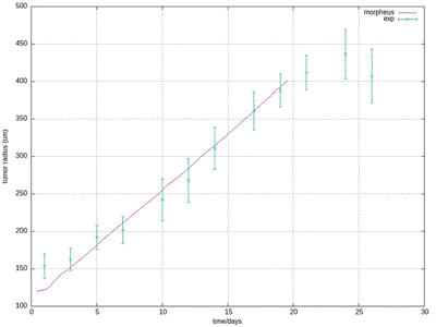 Growth curve of tumor spheroid radius obtainied with the Morpheus model (line) vs. experimental data (symbols), matching the upper-left panel in Fig.4a above.