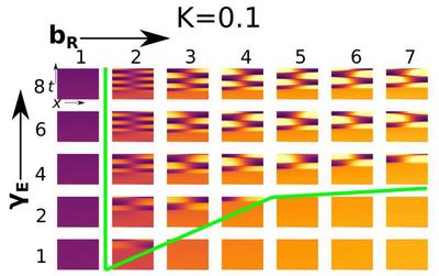 [Suppl. Fig. 1](https://iopscience.iop.org/article/10.1088/1478-3975/ac2888/pdf) showing Model I regimes ([CC BY 4.0](https://creativecommons.org/licenses/by/4.0/): [**Rens *et al.***](#reference))