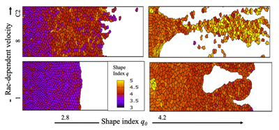 Effect of the preferred cell shape index $q_0$ and the Rac1-dependent cell speed C2 on sheet morphology. As in the [main text](#reference) [Fig. 6](https://ars.els-cdn.com/content/image/1-s2.0-S0006349522002843-mmc2.pdf), but with cell division allowed only for cells with `cell.volume`  `40`. At lower left, most cells are ‘jammed’ (purple). At upper right, the sheet is fluid, with finer, long, fast-growing fingers. Produced with [`BiPlot.xml`](#downloads). All results are at $t = 1500\ \text{MCS}$.