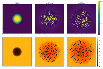 New simulation results for full-scale individual-based model support published results of continuous worm-density model in Fig. 6 and Video S6