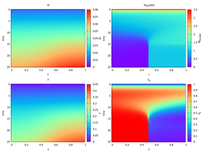 Model results reproduced with this Morpheus model.