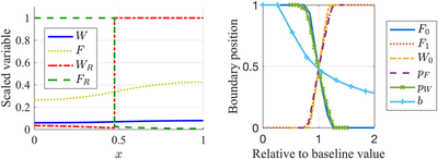 Model results as published by [Knutsdottir *et al.*](#reference) ([Figure 6](https://doi.org/10.1371/journal.pcbi.1005451.g006)). [*CC0 1.0*](https://creativecommons.org/publicdomain/zero/1.0/)