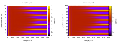 Kymograph for L.numerical=80 on left and L.numerical=800 on right with color indicating activator values.