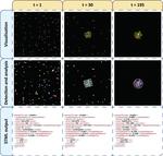 Chemotaxis for Model Checking