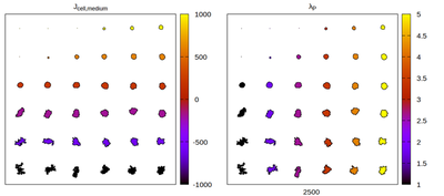 Equilibrium cell shapes for a **CSM** parameter set and **4th order** neighborhood kernel.Panels differ by color coding $J$ and $λ_p$ respectively.